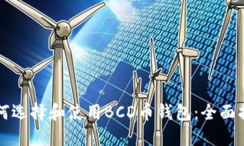 如何选择和使用BCD币钱包:全面指南