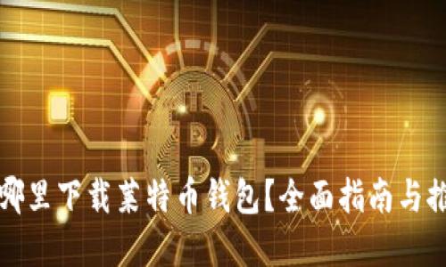 在哪里下载莱特币钱包?全面指南与推荐