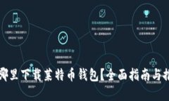 在哪里下载莱特币钱包？