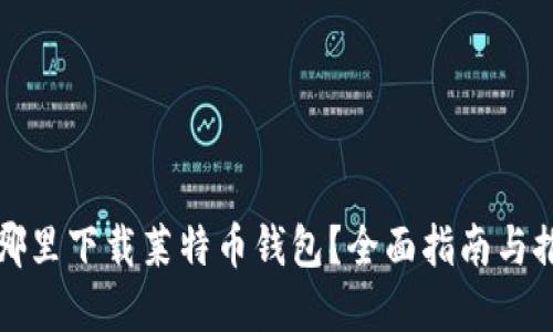 在哪里下载莱特币钱包?全面指南与推荐