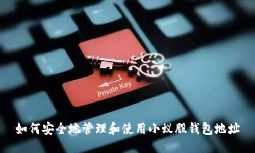 如何安全地管理和使用小蚁股钱包地址