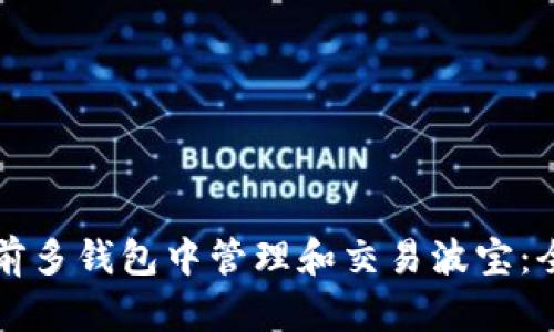 如何在前多钱包中管理和交易波宝:全面指南