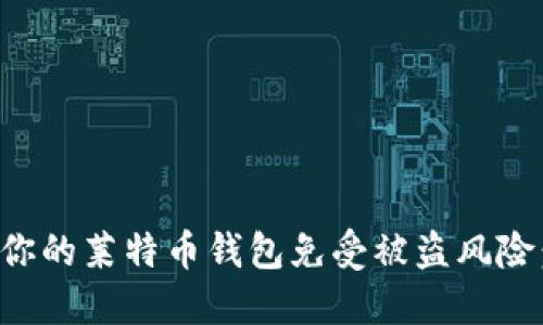 如何保护你的莱特币钱包免受被盗风险：全面指南