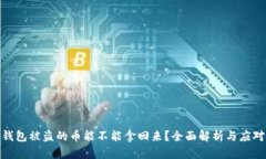 数字钱包被盗的币能不能