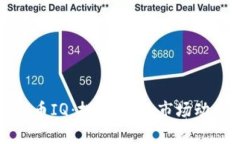 全面解析虚拟币IQ：投资前
