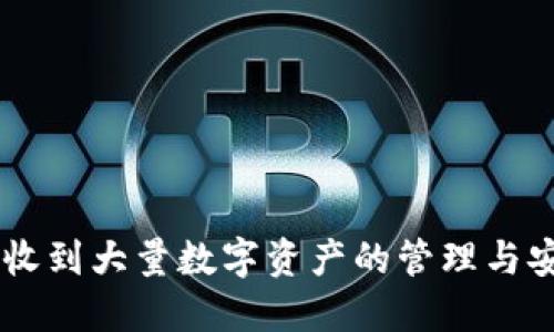 IM钱包收到大量数字资产的管理与安全指南