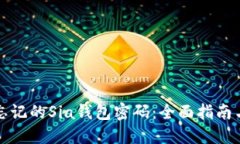 如何找回忘记的Sia钱包密