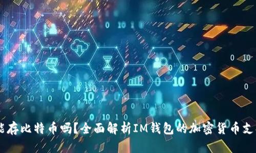 IM钱包能存比特币吗？全面解析IM钱包的加密货币支持与功能