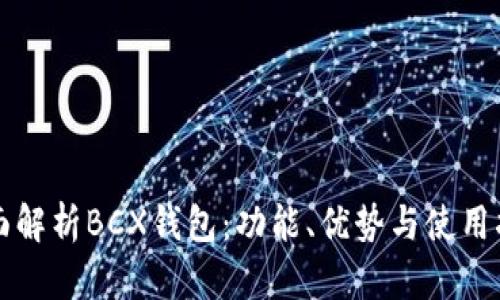 全面解析BCX钱包:功能、优势与使用指南