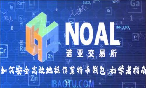如何安全高效地操作莱特币钱包:初学者指南