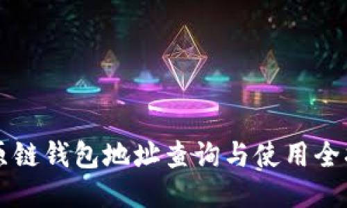比原链钱包地址查询与使用全指南