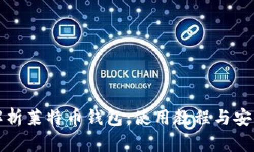 全面解析莱特币钱包:使用教程与安全指南