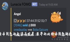 比特币钱包的起源与发展