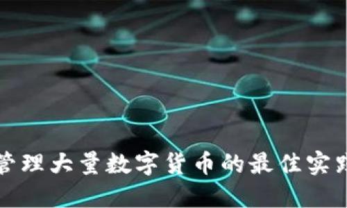 冷钱包管理大量数字货币的最佳实践与技巧