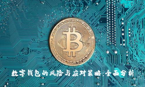 数字钱包的风险与应对策略:全面分析