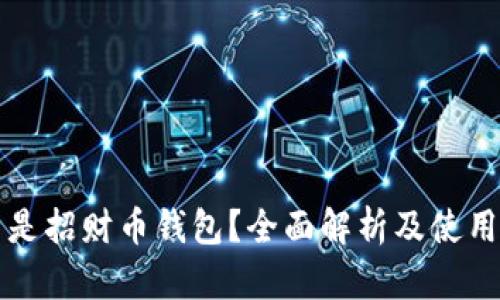什么是招财币钱包？全面解析及使用指南