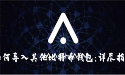 如何导入其他比特币钱包:详尽指南