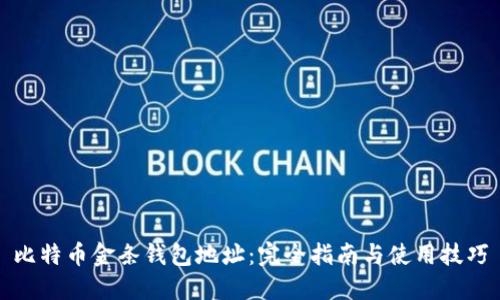 比特币金条钱包地址：完全指南与使用技巧