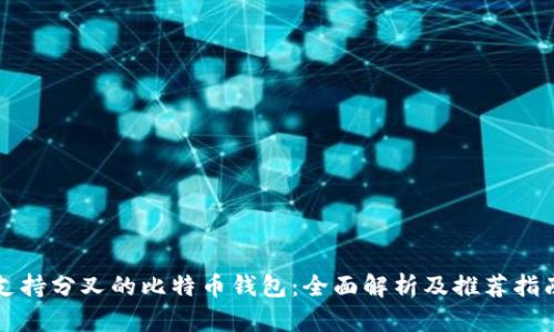 支持分叉的比特币钱包:全面解析及推荐指南