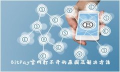 BitPay官网打不开的原因及