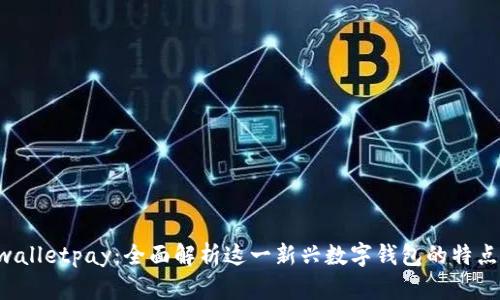 Instawalletpay:全面解析这一新兴数字钱包的特点与优势