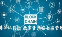 全面解析元界DNA钱包：数