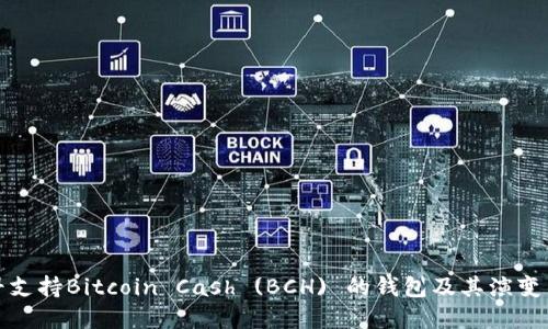 最早支持Bitcoin Cash (BCH) 的钱包及其演变历史