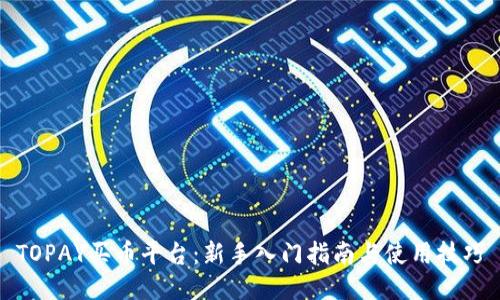 TOPAY买币平台:新手入门指南与使用技巧