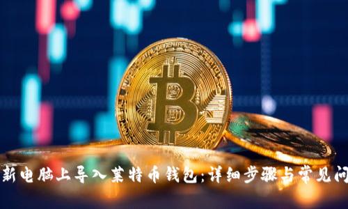 如何在新电脑上导入莱特币钱包:详细步骤与常见问题解答