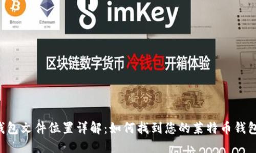 LTC钱包文件位置详解:如何找到您的莱特币钱包文件