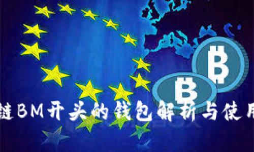 比原链BM开头的钱包解析与使用指南