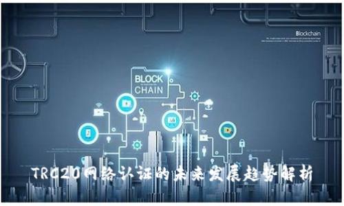 TRC20网络认证的未来发展趋势解析