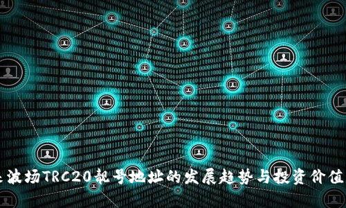 未来波场TRC20靓号地址的发展趋势与投资价值分析