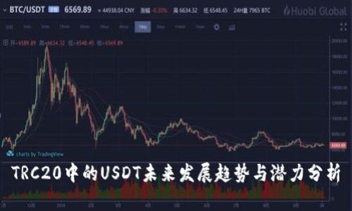 TRC20中的USDT未来发展趋势与潜力分析