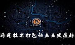 TRC20通道技术打包的未来发