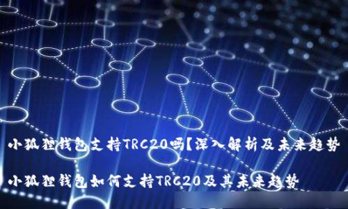 小狐狸钱包支持TRC20吗？深入解析及未来趋势

小狐狸钱包如何支持TRC20及其未来趋势