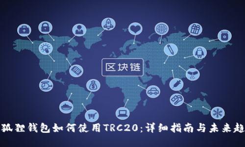 小狐狸钱包如何使用TRC20：详细指南与未来趋势