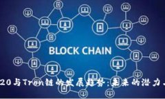 : TRC20与Tron链的发展趋势：