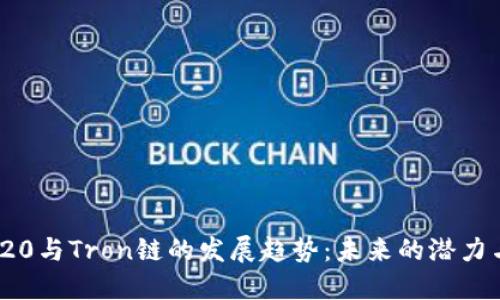 : TRC20与Tron链的发展趋势：未来的潜力与机遇