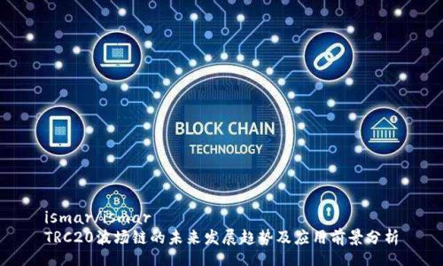 ismar/ismar  
TRC20波场链的未来发展趋势及应用前景分析