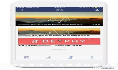 数字钱包的合法性：未来发展趋势与监管挑战
