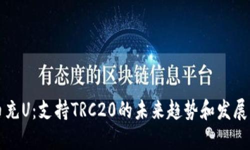 中币充U：支持TRC20的未来趋势和发展方向