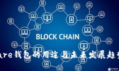 Solflare钱包的用途与未来发展趋势分析