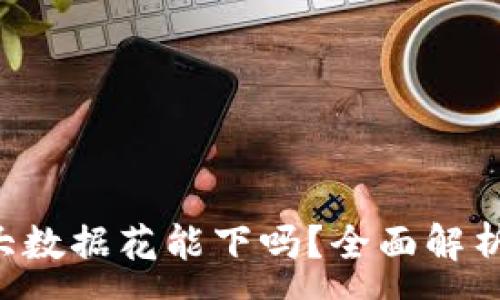 :

u钱包征信大数据花能下吗？全面解析与实用攻略