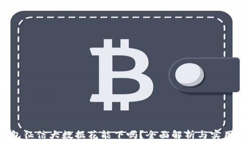 :

u钱包征信大数据花能下吗？全面解析与实用攻略